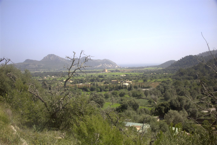 Mallorca 6